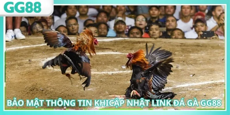 Cập Nhật Link Đá Gà GG88 Mới Nhất Không Lo Bị Chặn 3 Hệ thống bảo mật thông tin tuyệt đối giúp khách hàng yên tâm đặt cược