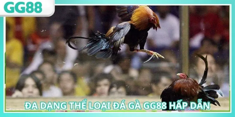 Cập Nhật Link Đá Gà GG88 Mới Nhất Không Lo Bị Chặn 2 Nhiều thể loại hấp dẫn khi truy cập đường dẫn mới nhất